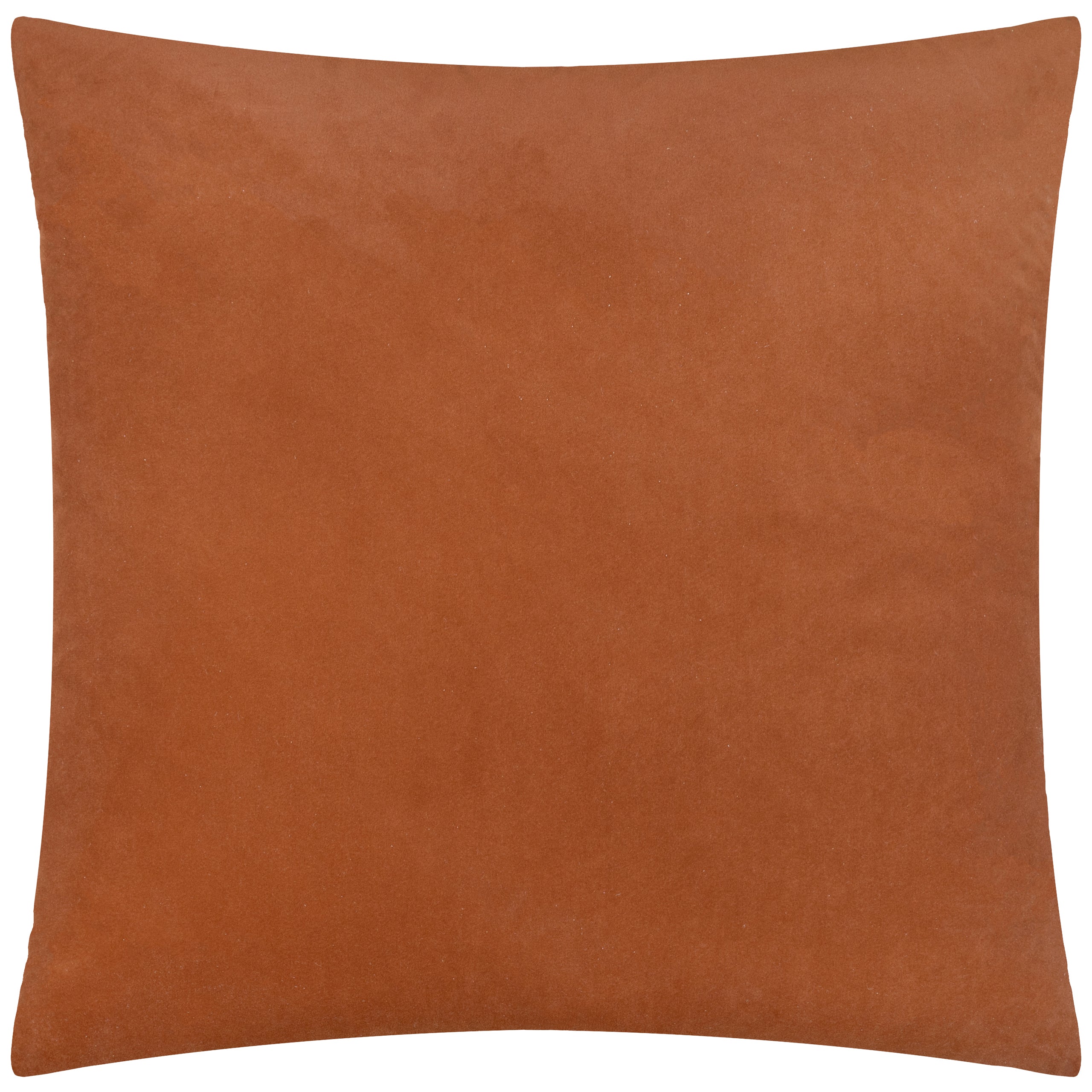 Evoke Cut Velvet Cushion