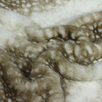 Fawn Faux Fur Throw