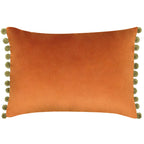 Fiesta Velvet Cushion