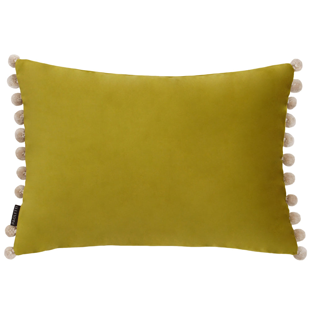 Fiesta Velvet Cushion