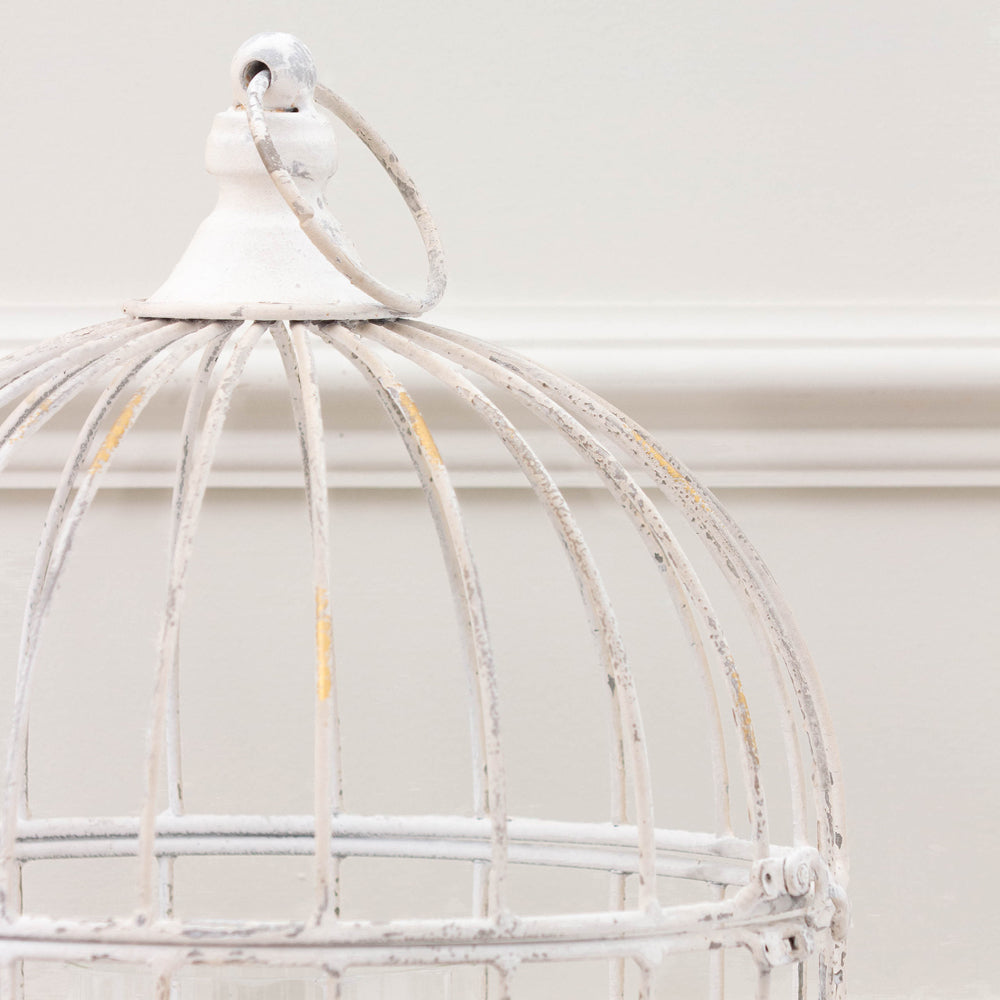 Fleur Et Faune Metal Floral Lantern