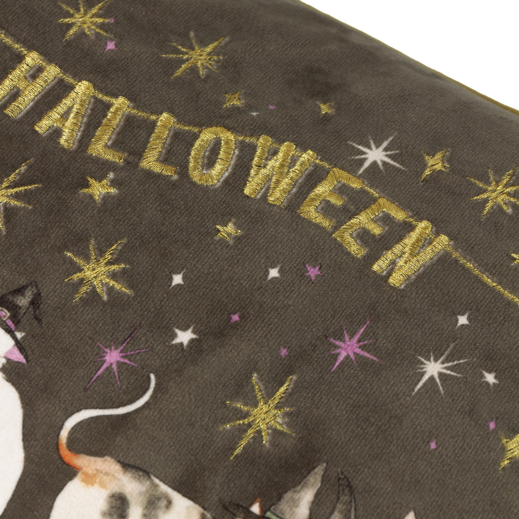 Halloween Pawty Embroidered Velvet Cushion