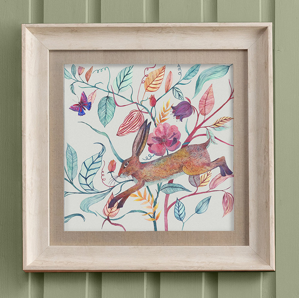 Hansel Hare Framed Print