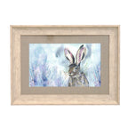 Harriet Hare Framed Print