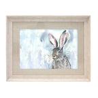 Harriet Hare Framed Print