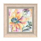 Helianthus Framed Print