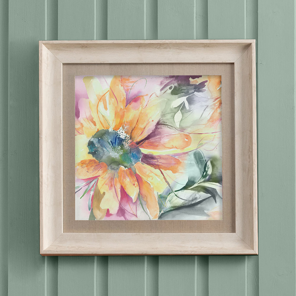Helianthus Framed Print