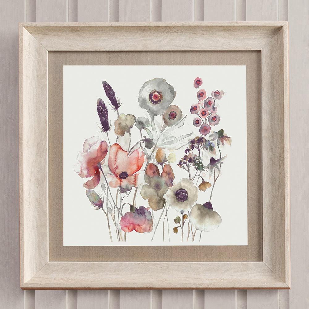 Hibbertia Framed Print