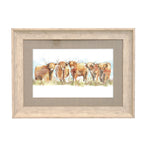 Highland Cattle Framed Print