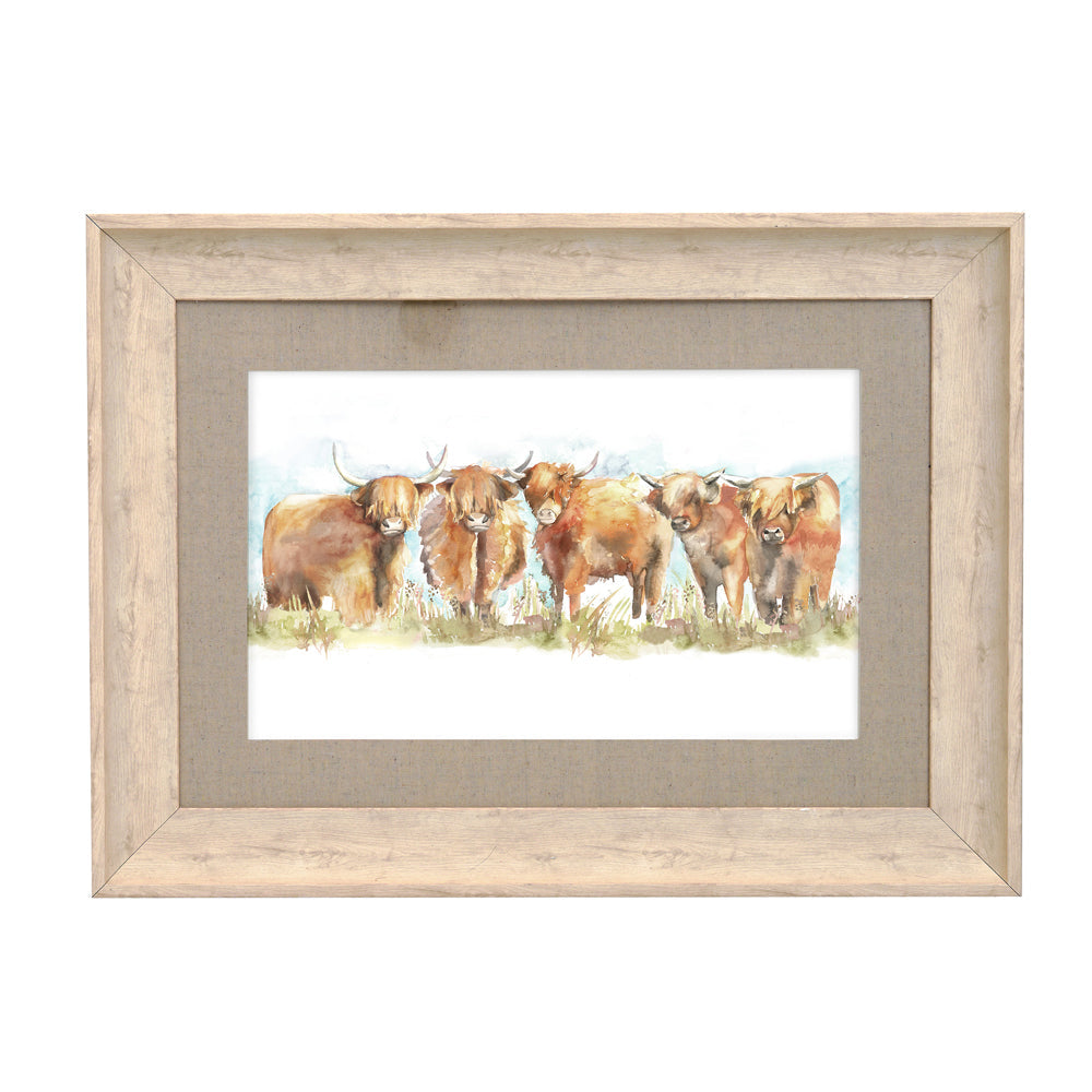 Highland Cattle Framed Print