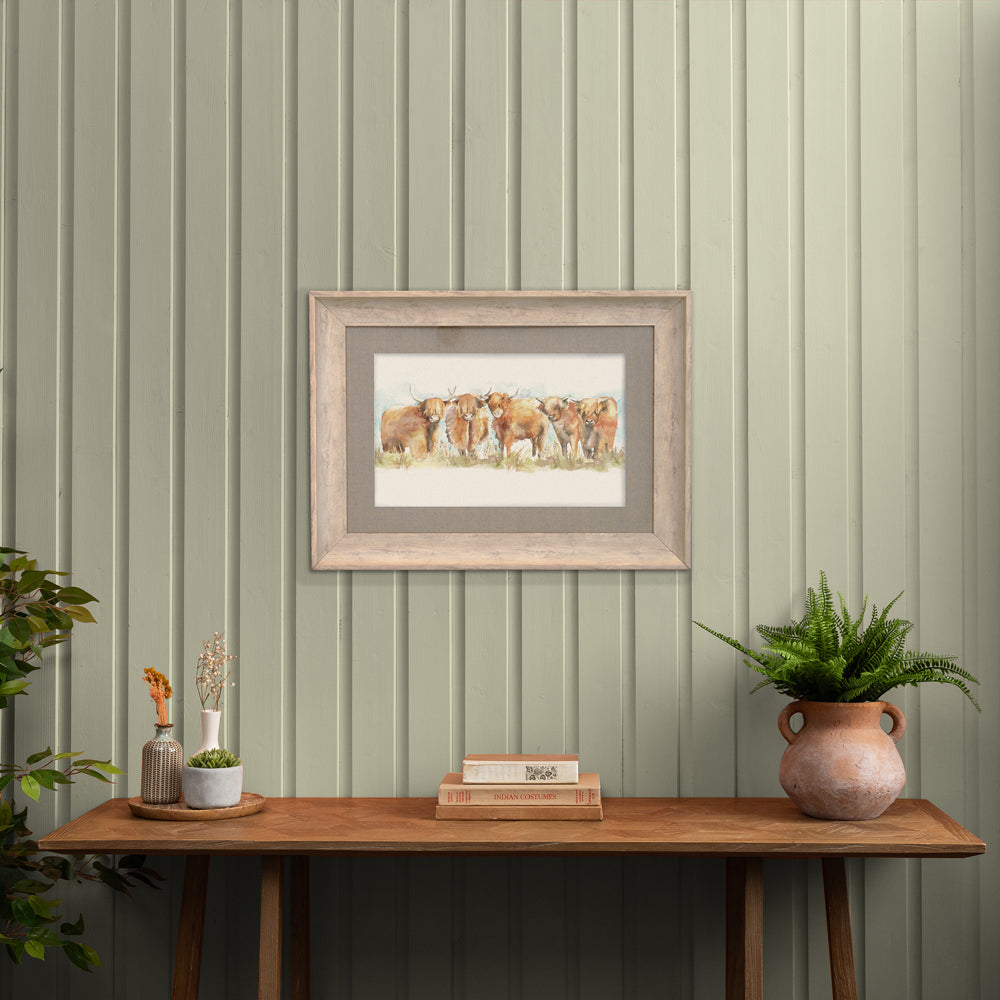 Highland Cattle Framed Print