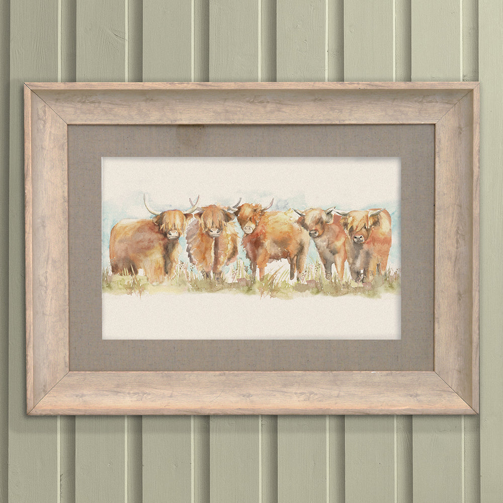 Highland Cattle Framed Print