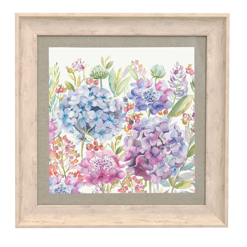 Hydrangea Framed Print
