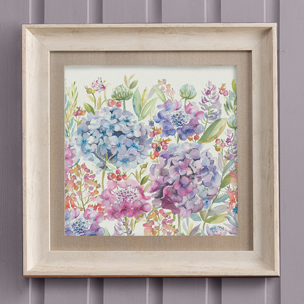 Hydrangea Framed Print