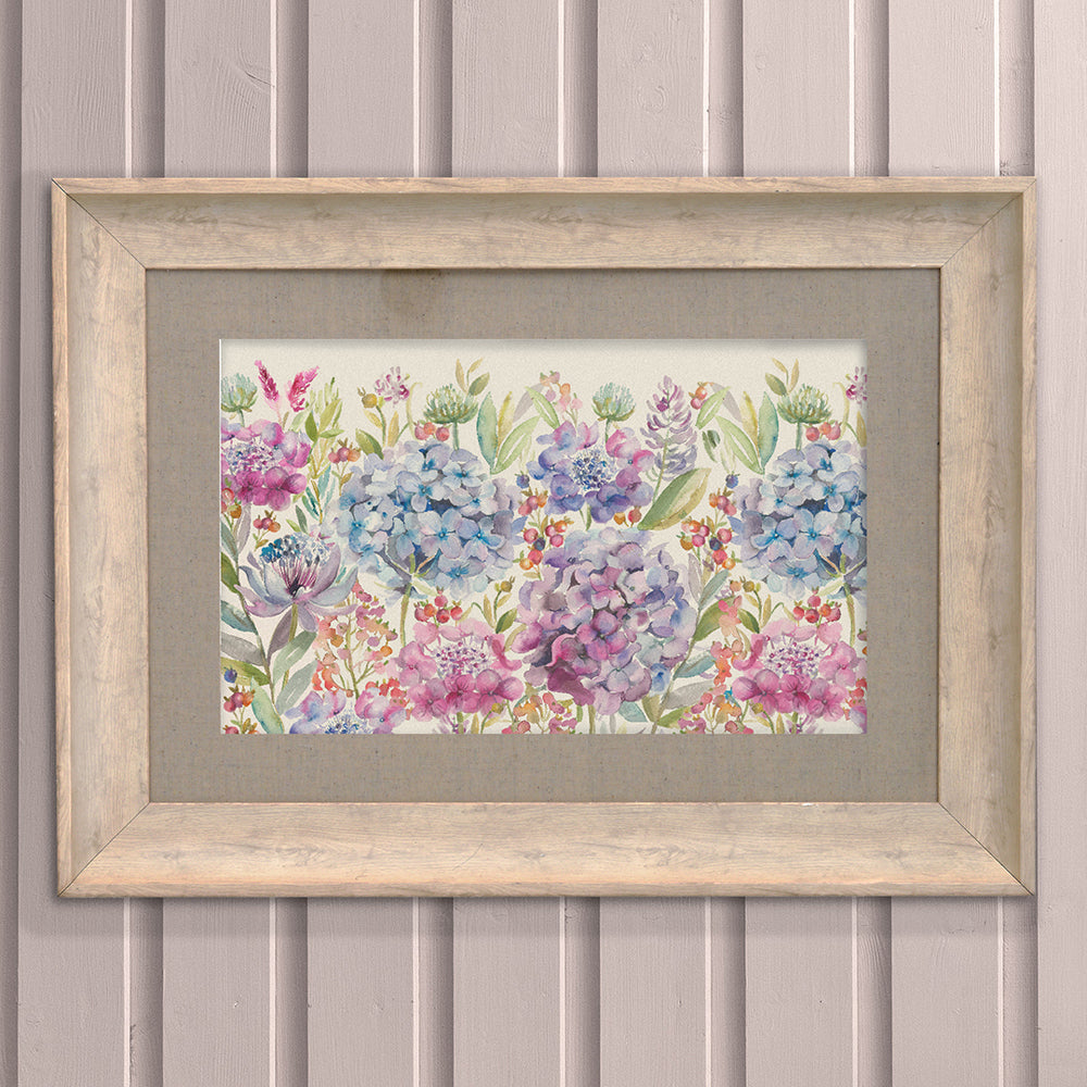 Hydrangea Framed Print