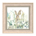 Jack Rabbit Framed Print