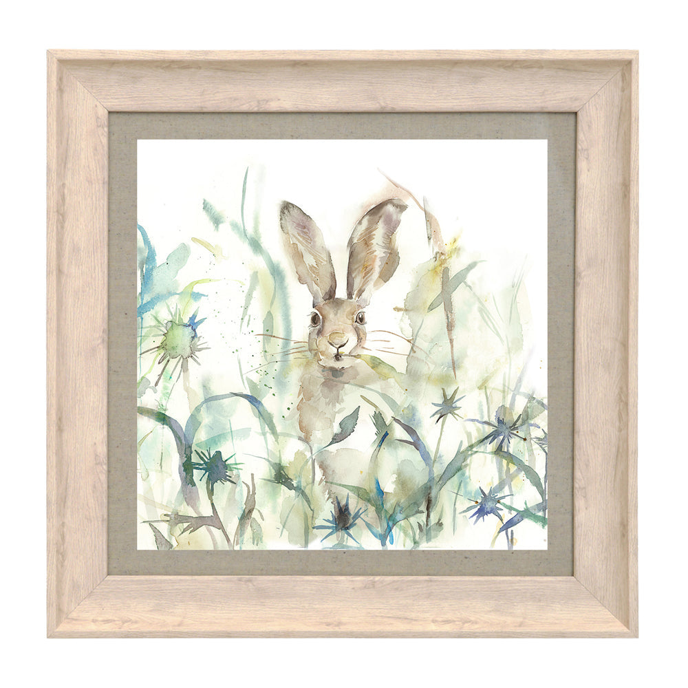 Jack Rabbit Framed Print