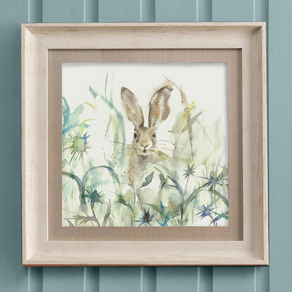 Jack Rabbit Framed Print