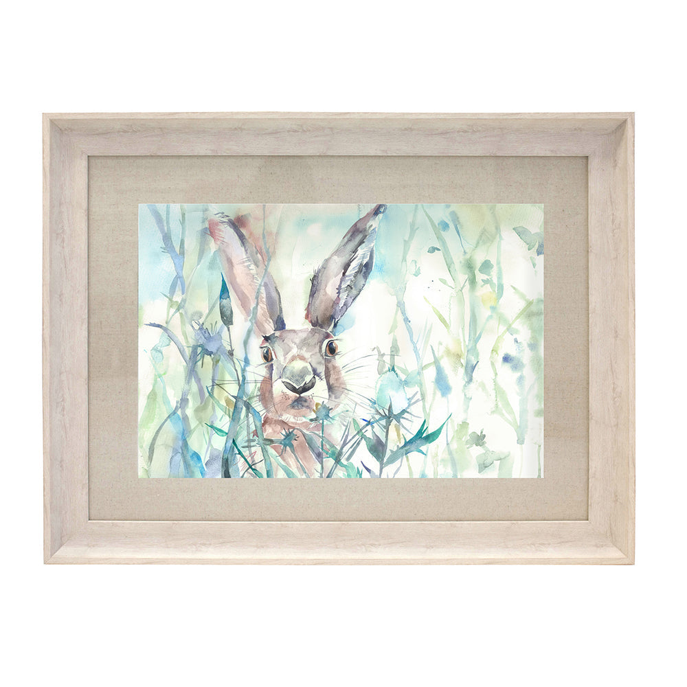 Jack Rabbit Framed Print