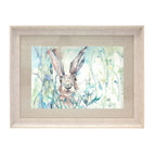 Jack Rabbit Framed Print