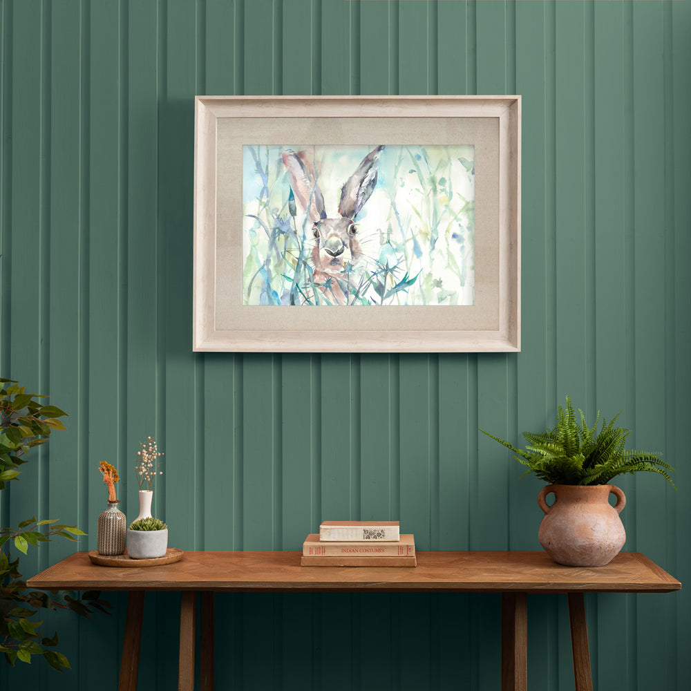 Jack Rabbit Framed Print