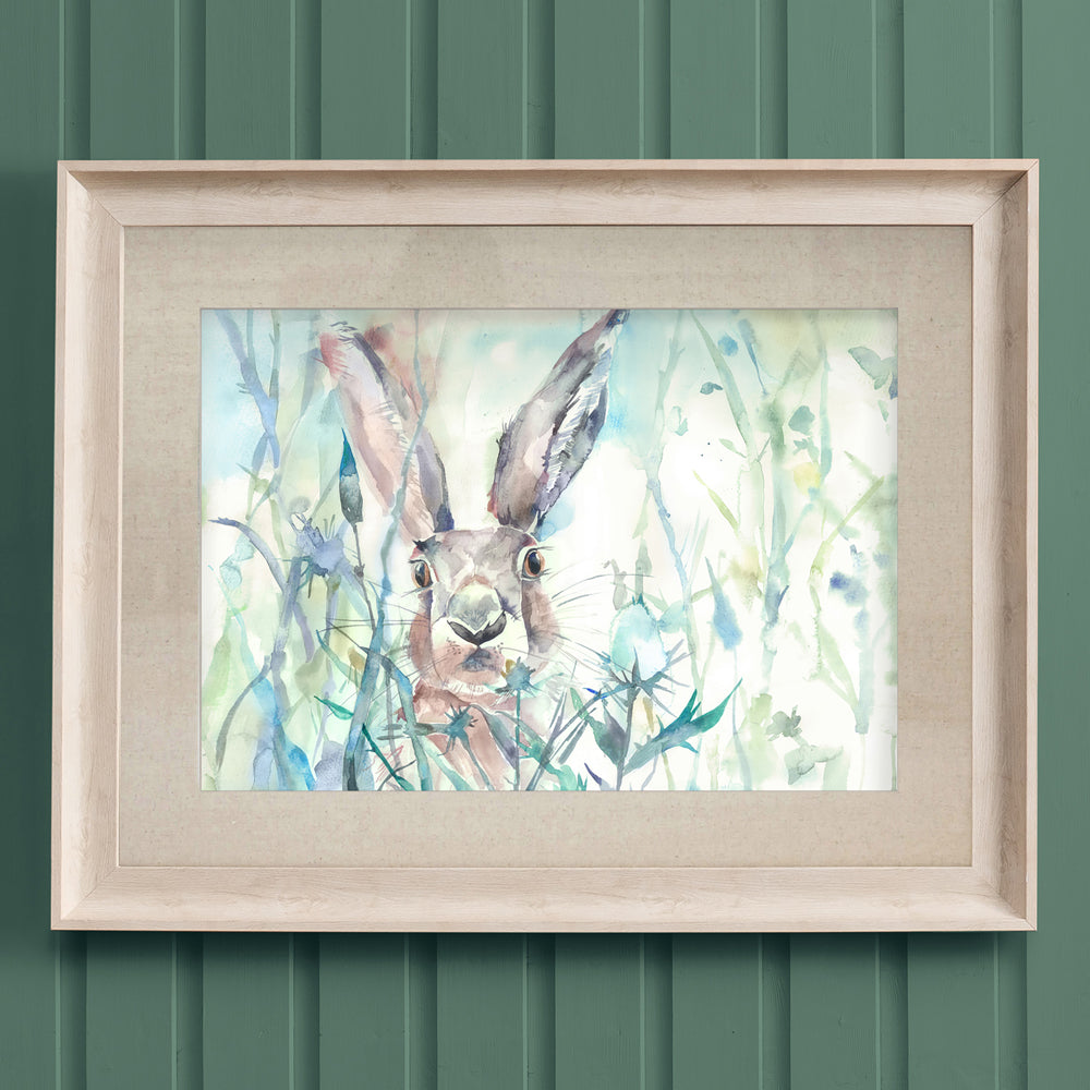 Jack Rabbit Framed Print