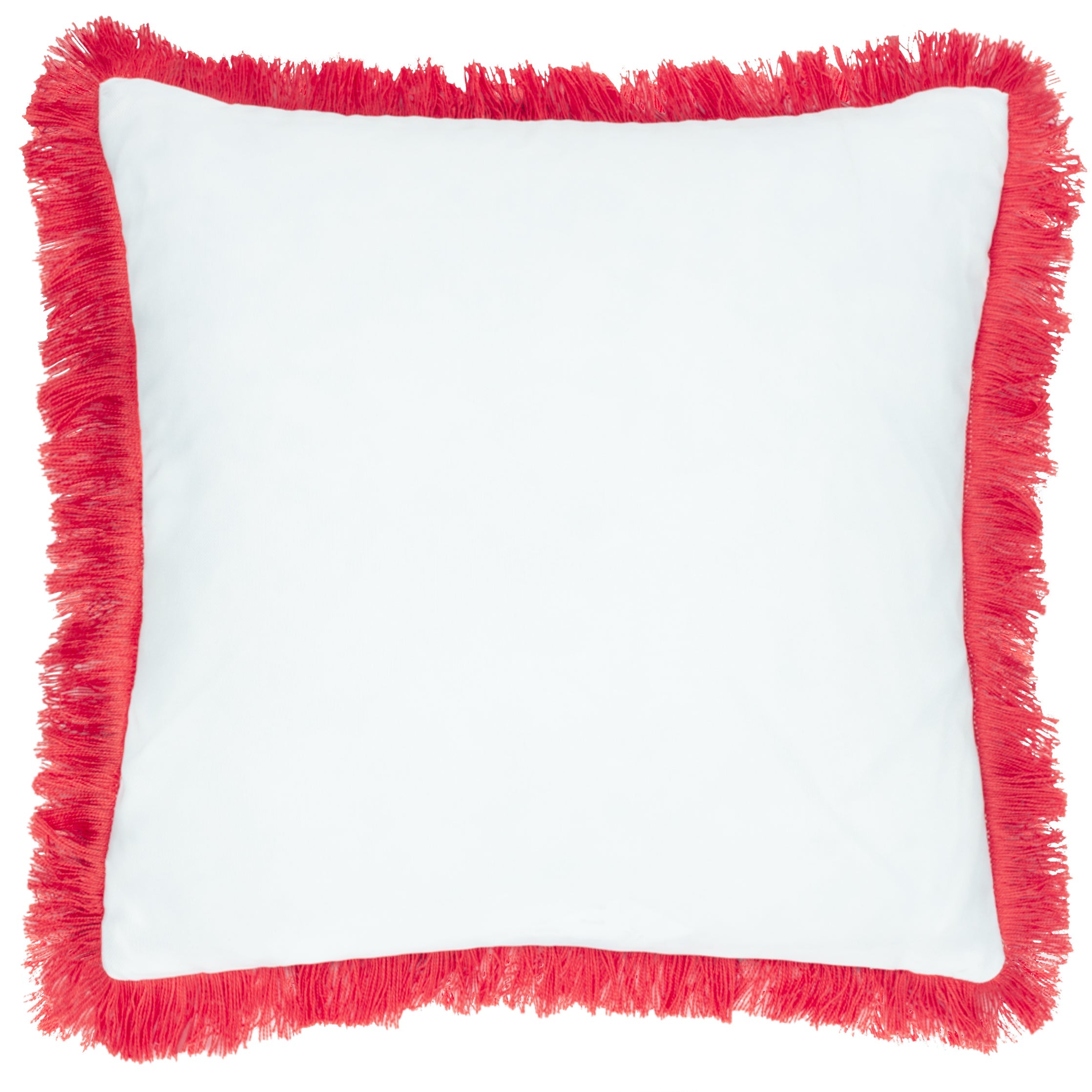 Kadie Outdoor/Indoor Woven Cushion