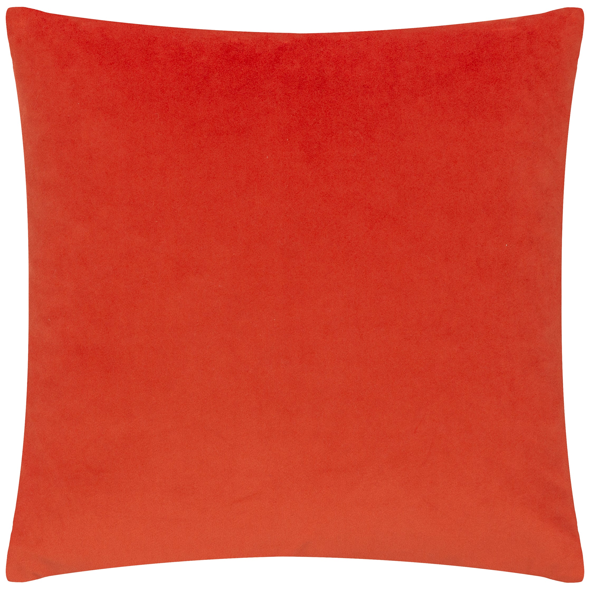 Karasi Parrots Tropical Cushion