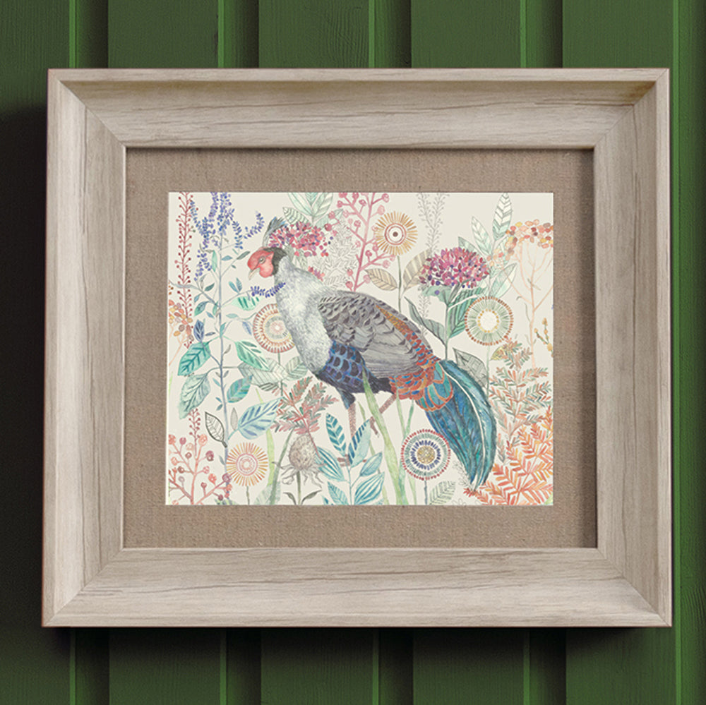 Lady Amherst Framed Print