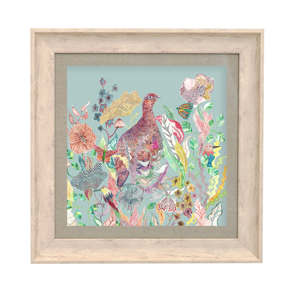 Lady Grouse Framed Print