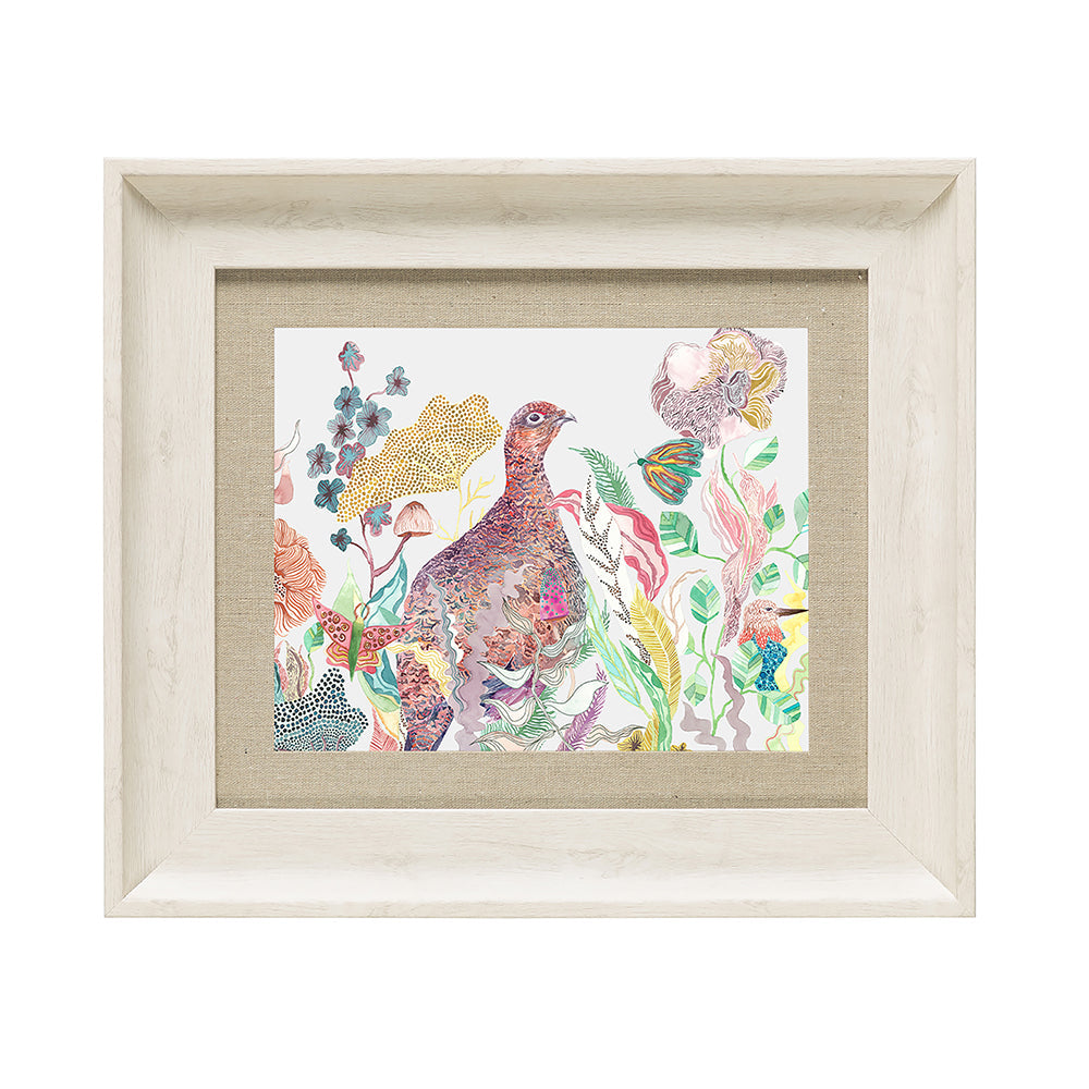 Lady Grouse Framed Print