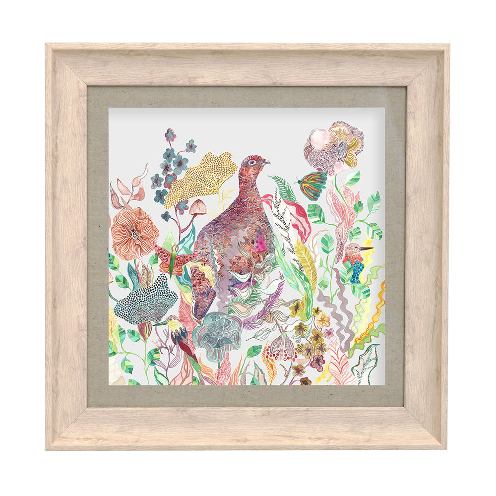 Lady Grouse Framed Print