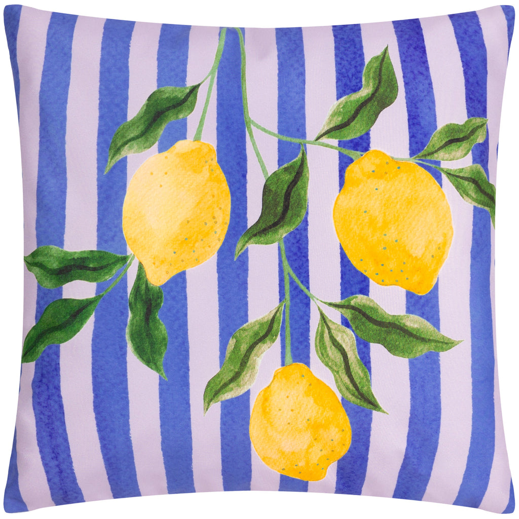 Lemons Outdoor Cushion