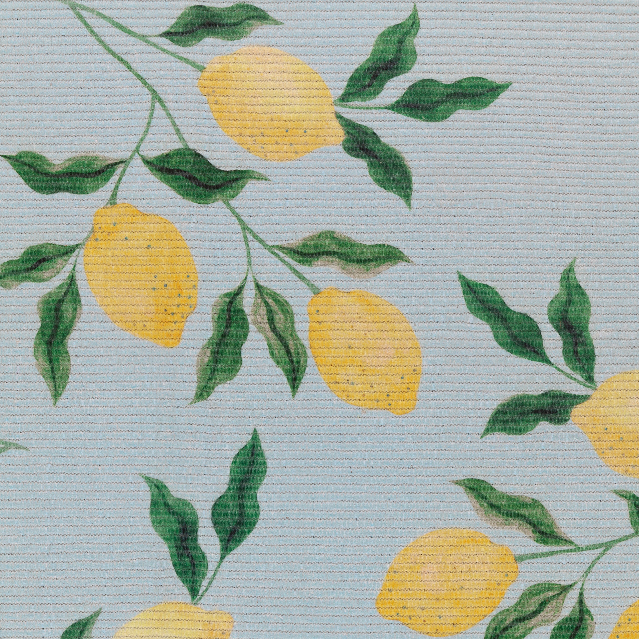 Lemons Printed Indoor/Outdoor Outdoor Rug
