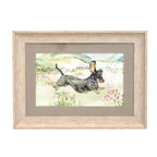 Louie The Dachshund Framed Print