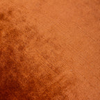 Luxe Velvet Piped Cushion