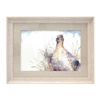 Majestic Grouse Framed Print