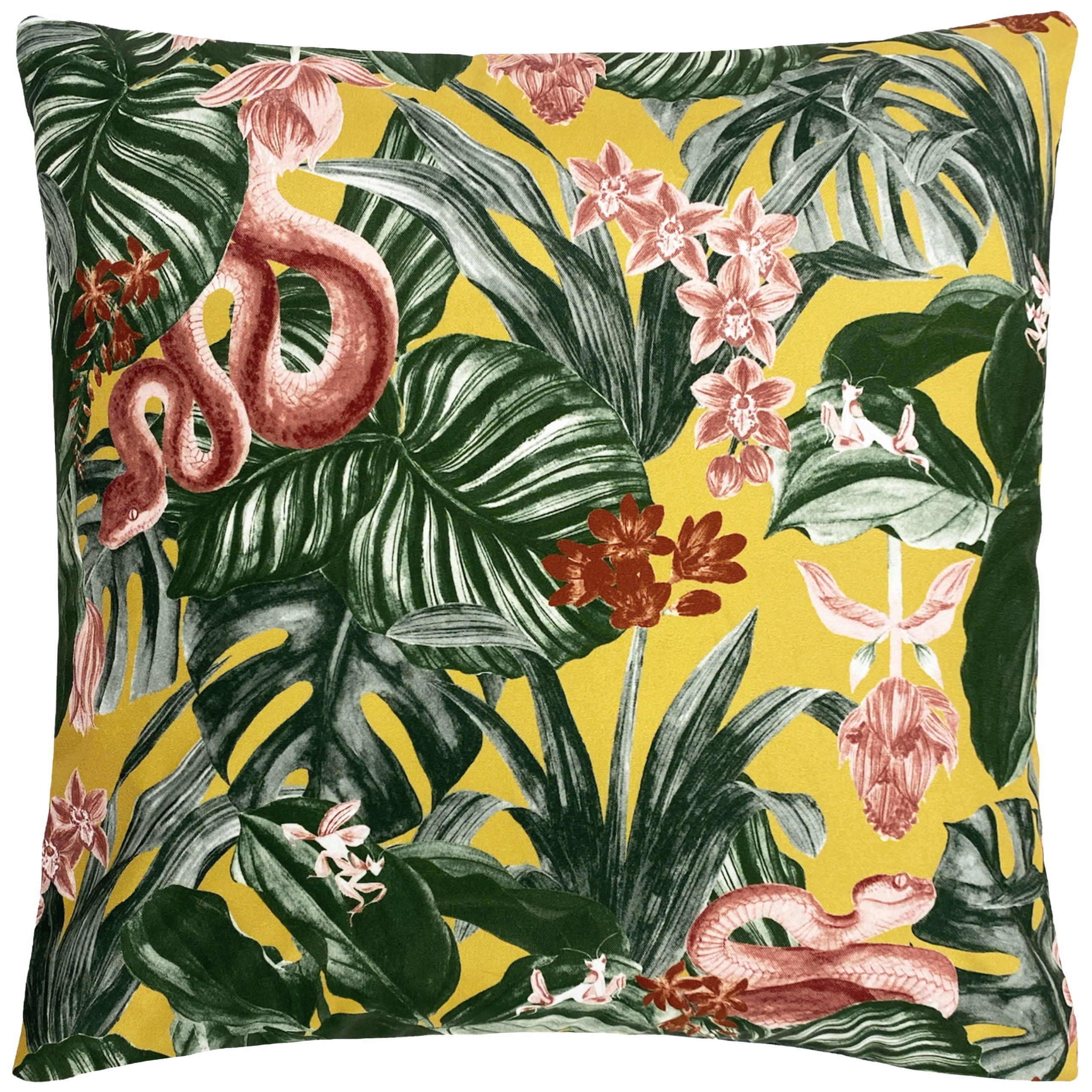 Medinilla Outdoor Cushion