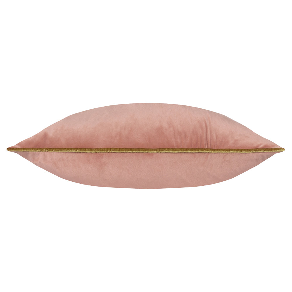 Meridian Velvet Cushion