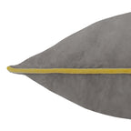 Meridian Velvet Cushion