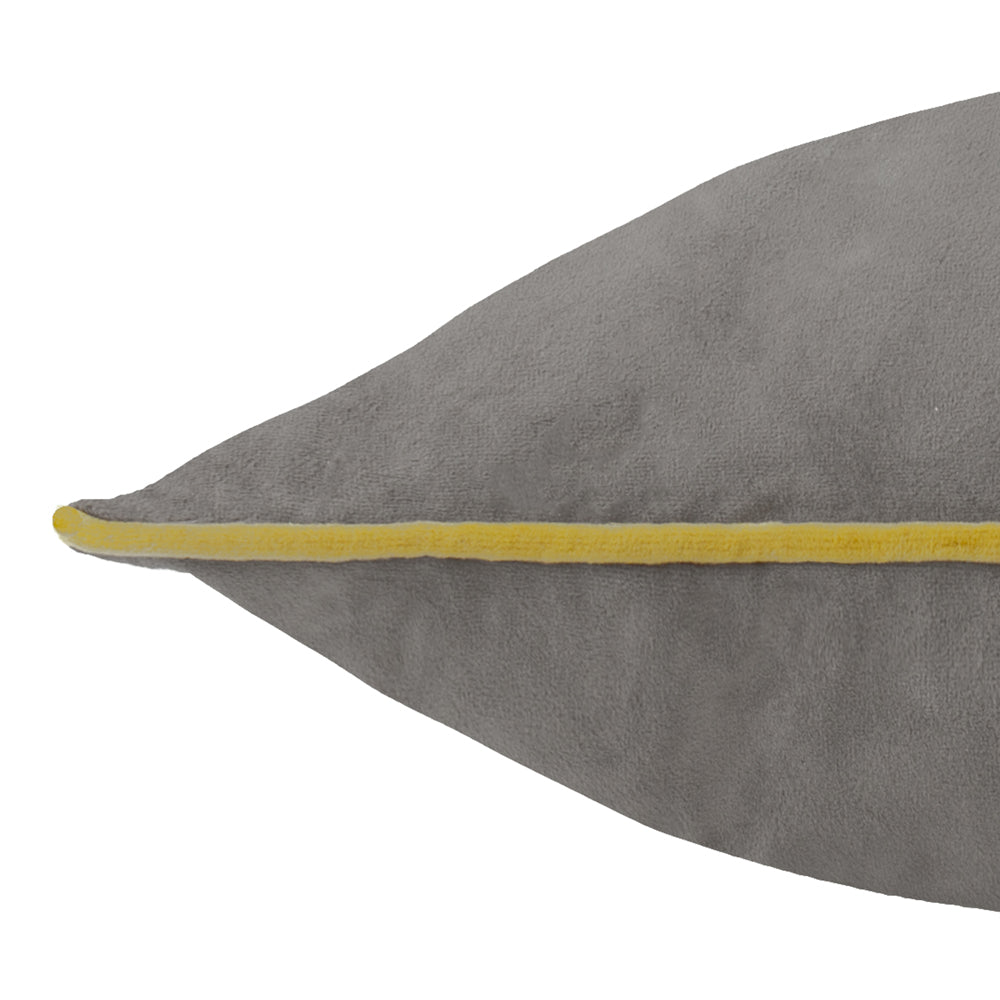 Meridian Velvet Cushion