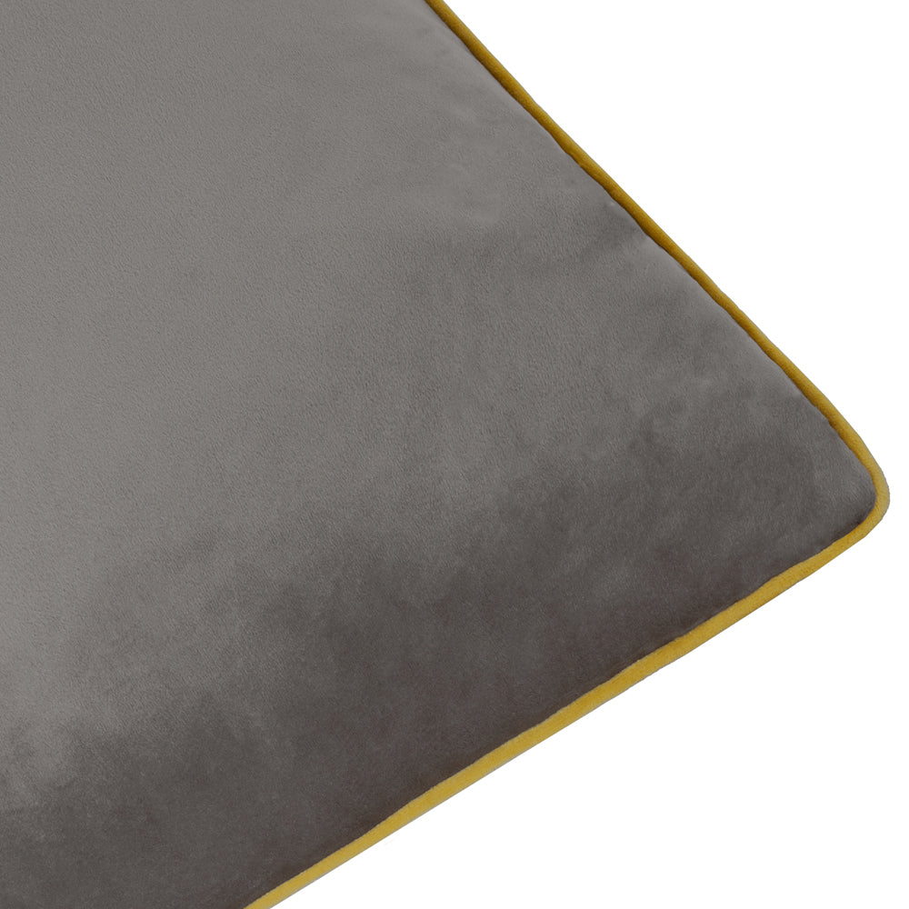 Meridian Velvet Cushion