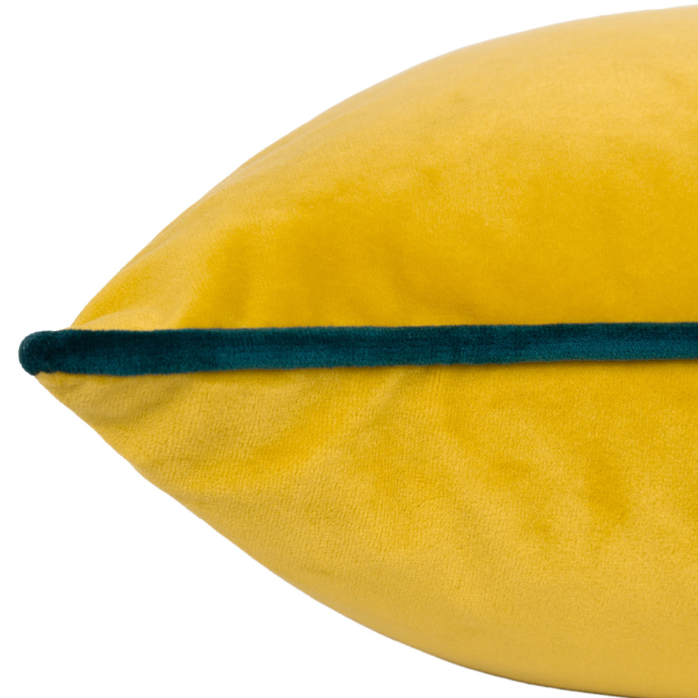 Meridian Velvet Cushion