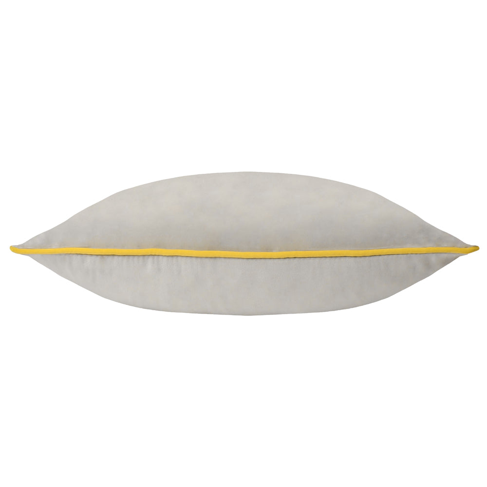Meridian Velvet Cushion