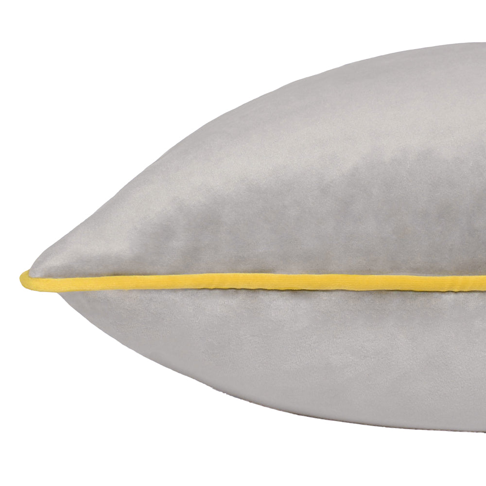 Meridian Velvet Cushion