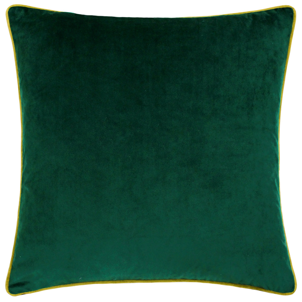 Meridian Velvet Cushion