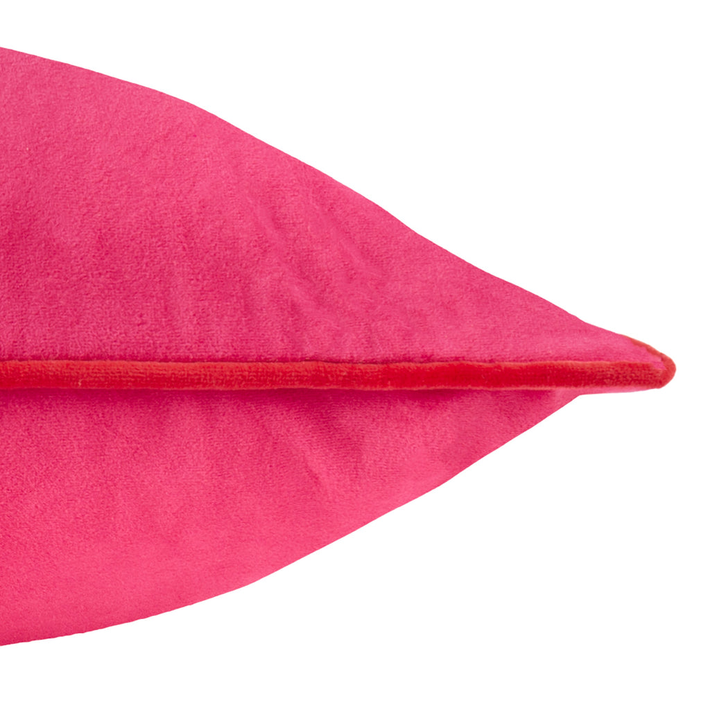 Meridian Velvet Cushion