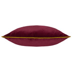 Meridian Velvet Cushion