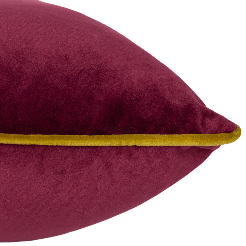 Meridian Velvet Cushion