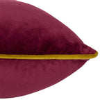Meridian Velvet Cushion